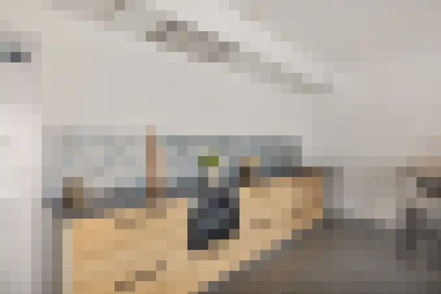 Korenschoofstraat 10 Utrecht thumbnail 15