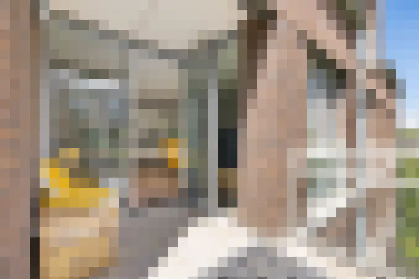 Korenschoofstraat 26 Utrecht thumbnail 24