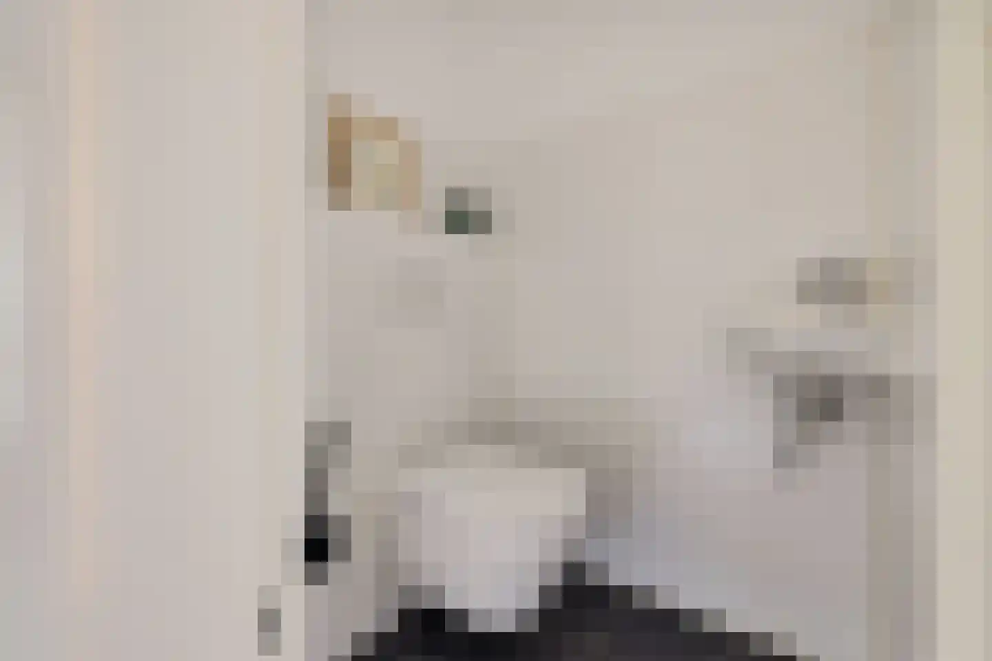 Korenschoofstraat 26 Utrecht thumbnail 39