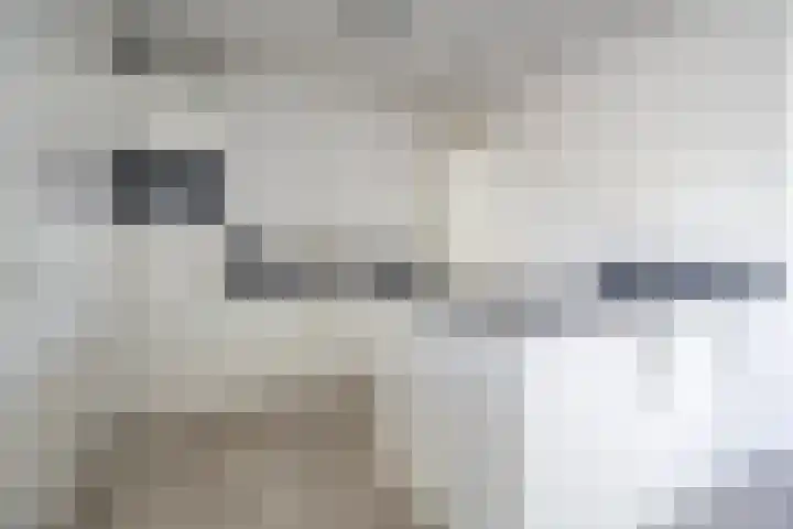 Korenschuur 11 A Moergestel thumbnail 10
