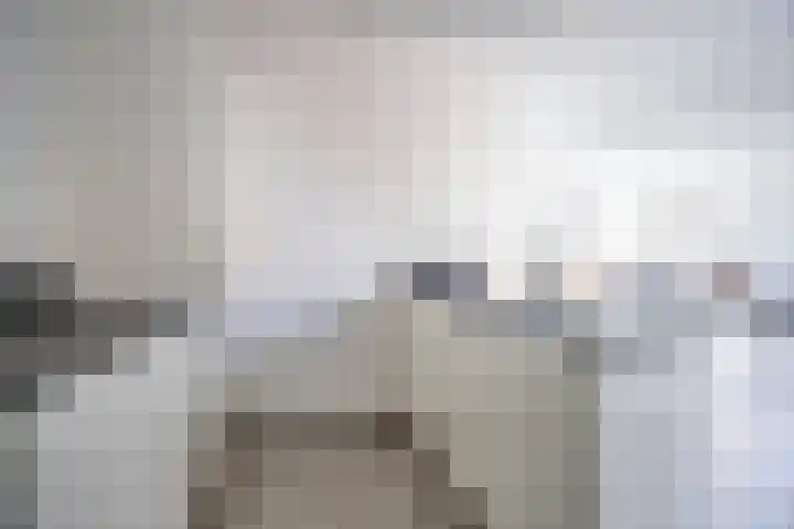 Korenschuur 11 A Moergestel thumbnail 11