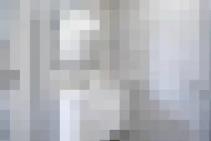 Korenschuur 11 A Moergestel thumbnail 18