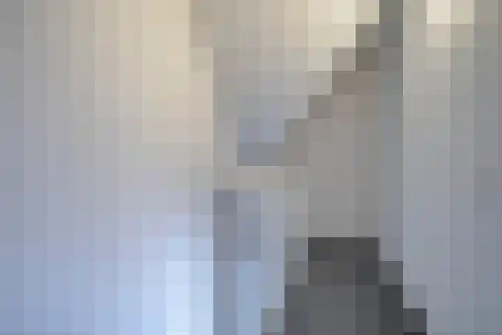 Korenschuur 11 A Moergestel thumbnail 19