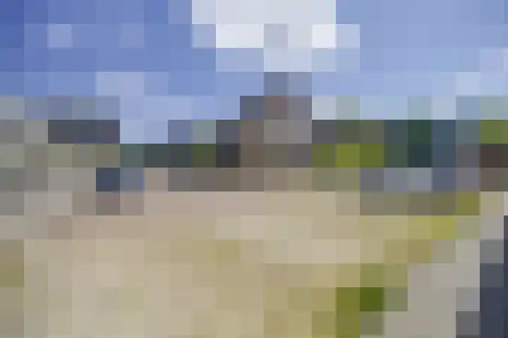 Korenschuur 11 A Moergestel thumbnail 26