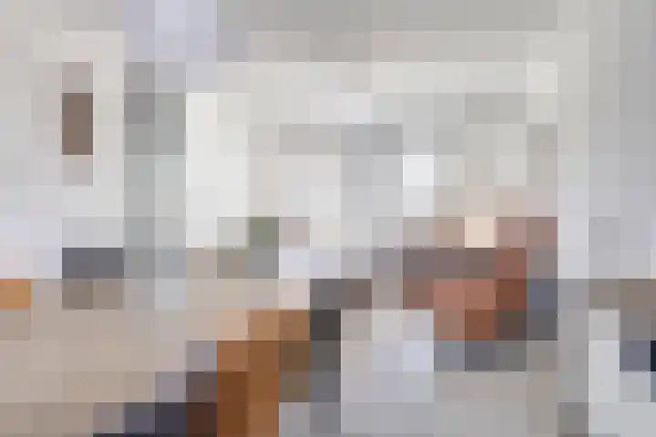 Korenschuur 11 A Moergestel thumbnail 7