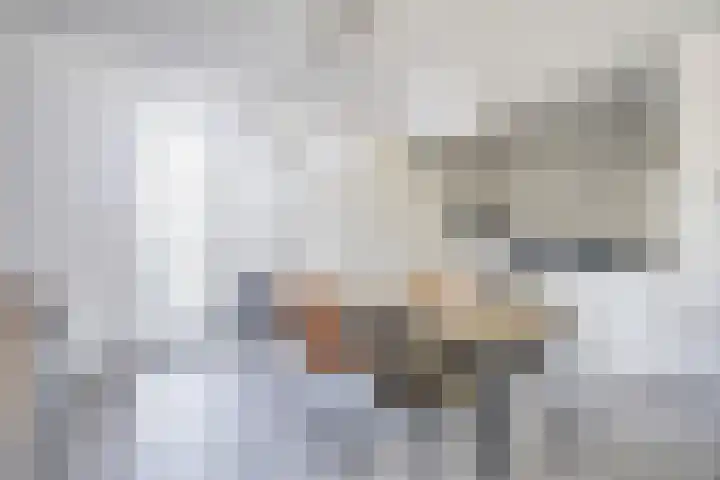Korenschuur 11 A Moergestel thumbnail 9