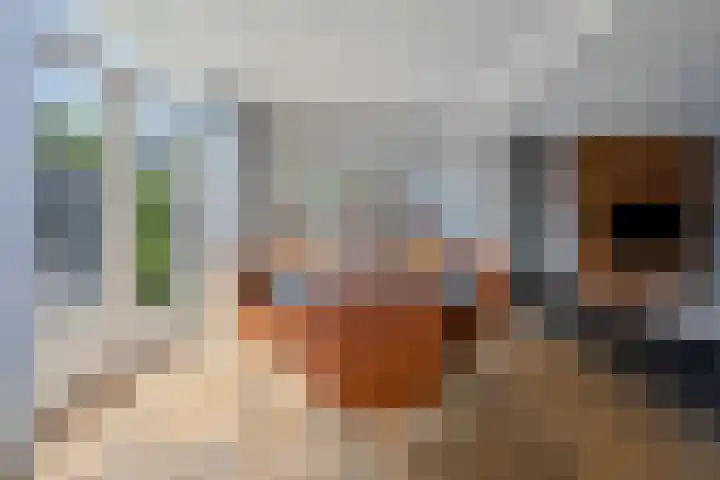 Korenschuur 52 Moergestel thumbnail 10