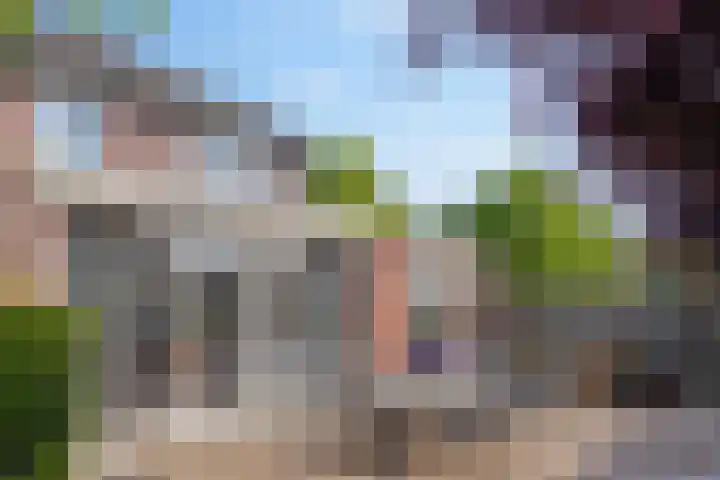 Korenschuur 52 Moergestel thumbnail 34