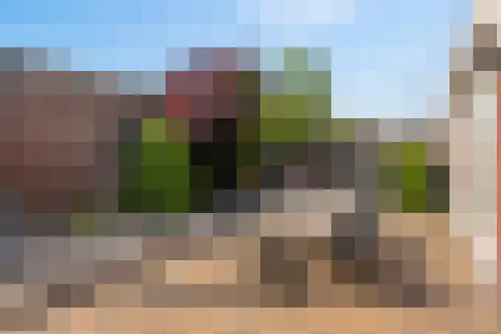 Korenschuur 52 Moergestel thumbnail 36