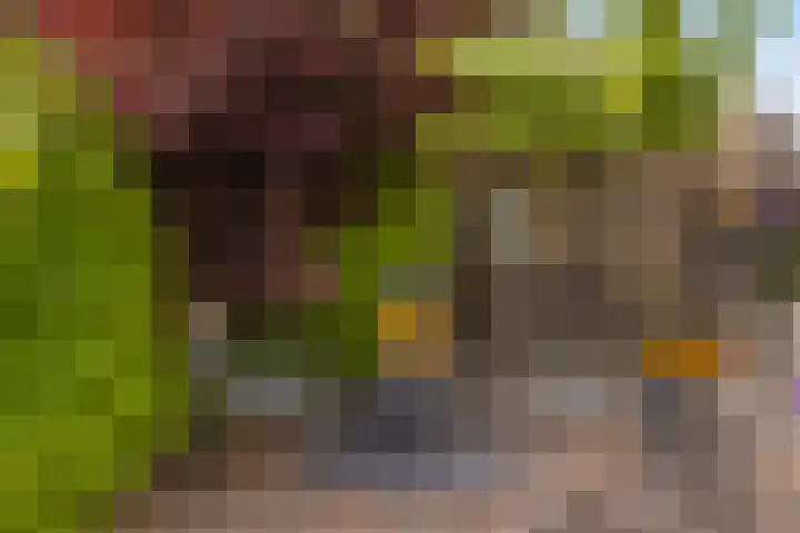 Korenschuur 52 Moergestel thumbnail 37