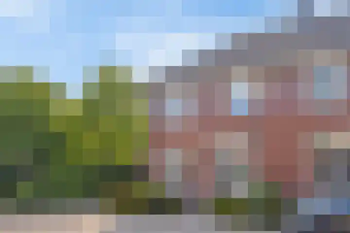 Korenschuur 52 Moergestel thumbnail 40