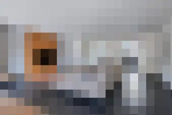 Korenschuur 52 Moergestel thumbnail 7