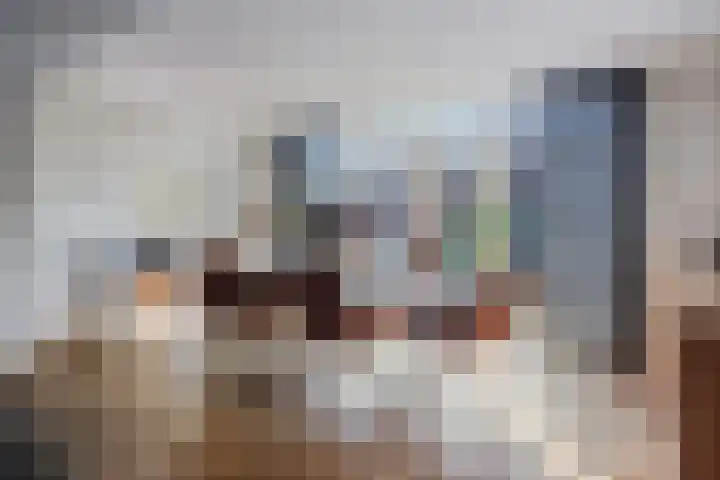 Korenschuur 52 Moergestel thumbnail 9