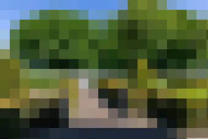 Korensingel 1 a 's-Heerenberg thumbnail 100