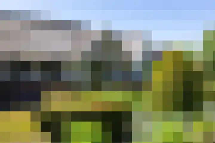 Korensingel 1 a 's-Heerenberg thumbnail 11