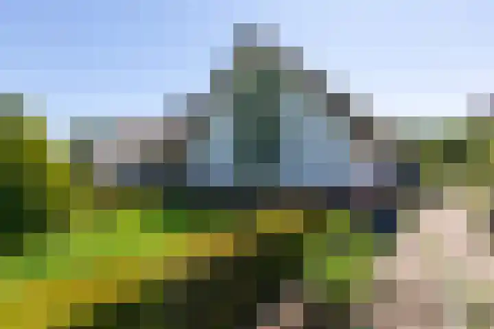Korensingel 1 a 's-Heerenberg thumbnail 12