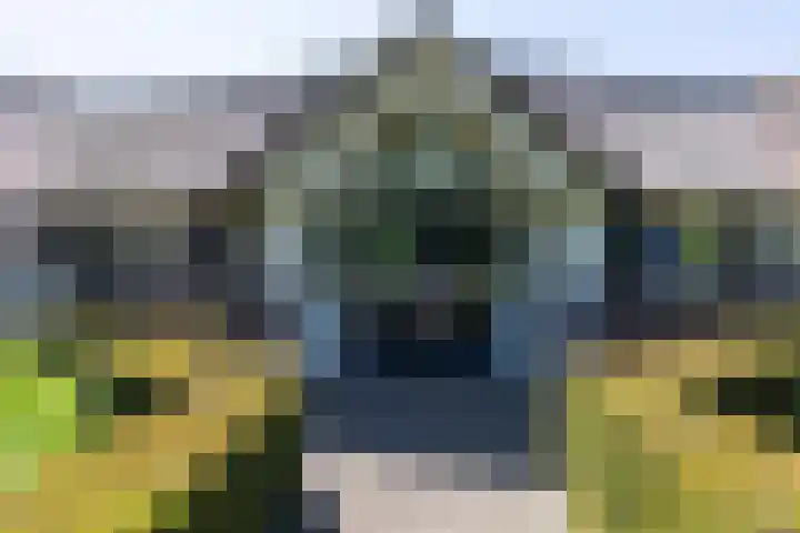 Korensingel 1 a 's-Heerenberg thumbnail 25