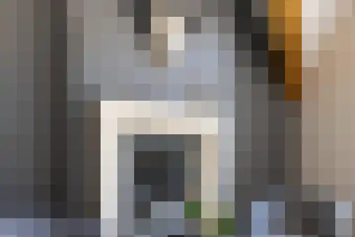 Korensingel 1 a 's-Heerenberg thumbnail 39