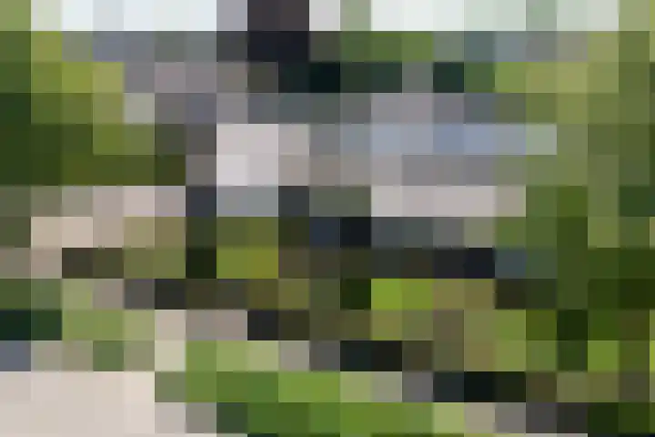 Korensingel 1 a 's-Heerenberg thumbnail 4
