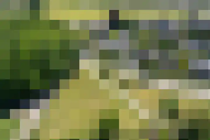 Korensingel 1 a 's-Heerenberg thumbnail 5