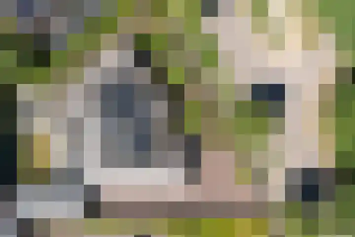 Korensingel 1 a 's-Heerenberg thumbnail 7