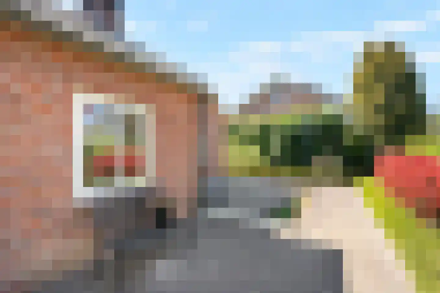 Korensingel 3 's-Heerenberg thumbnail 12