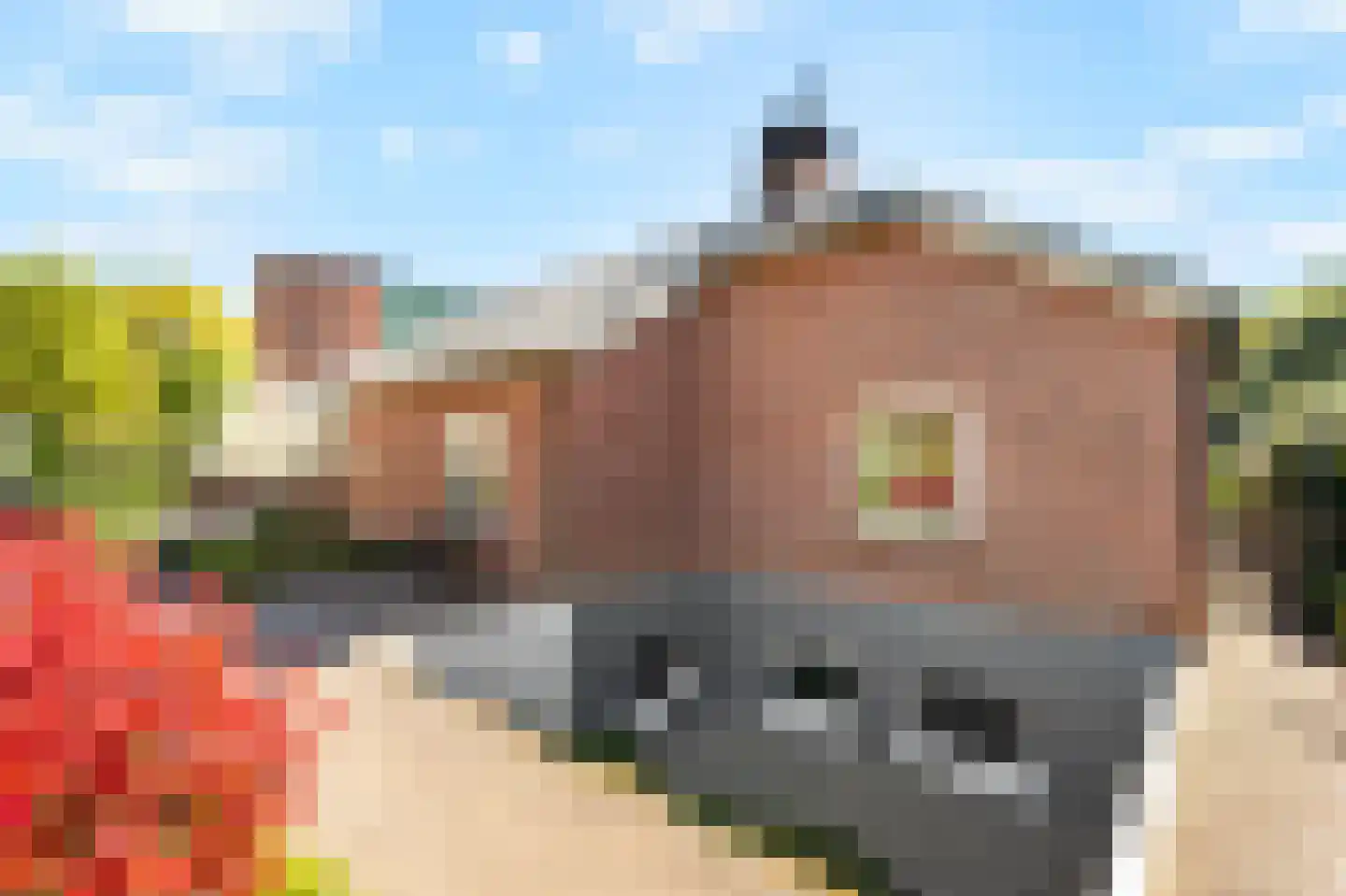 Korensingel 3 's-Heerenberg thumbnail 13
