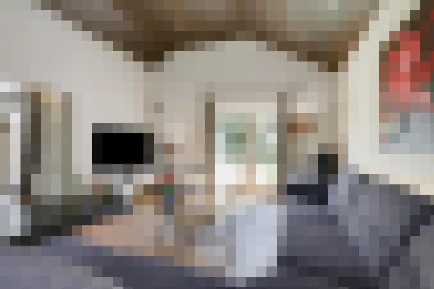 Korensingel 3 's-Heerenberg thumbnail 20