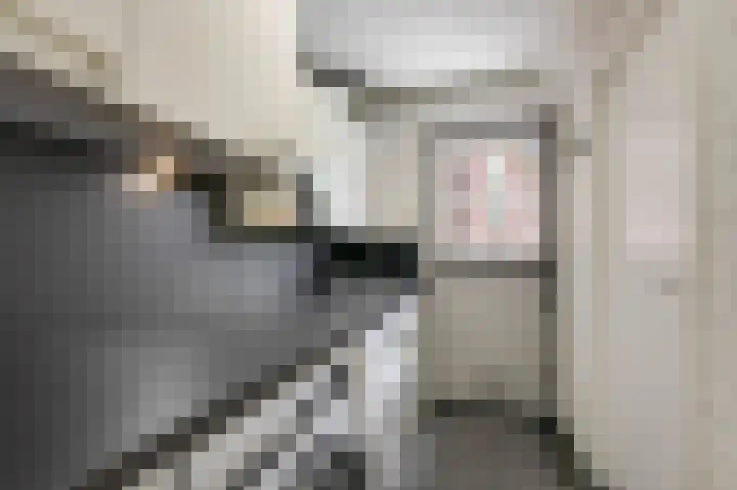 Korensingel 3 's-Heerenberg thumbnail 34