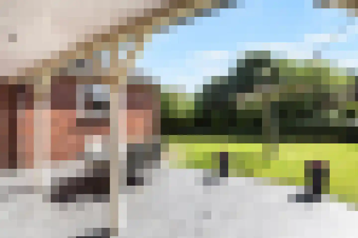 Korensingel 3 's-Heerenberg thumbnail 37