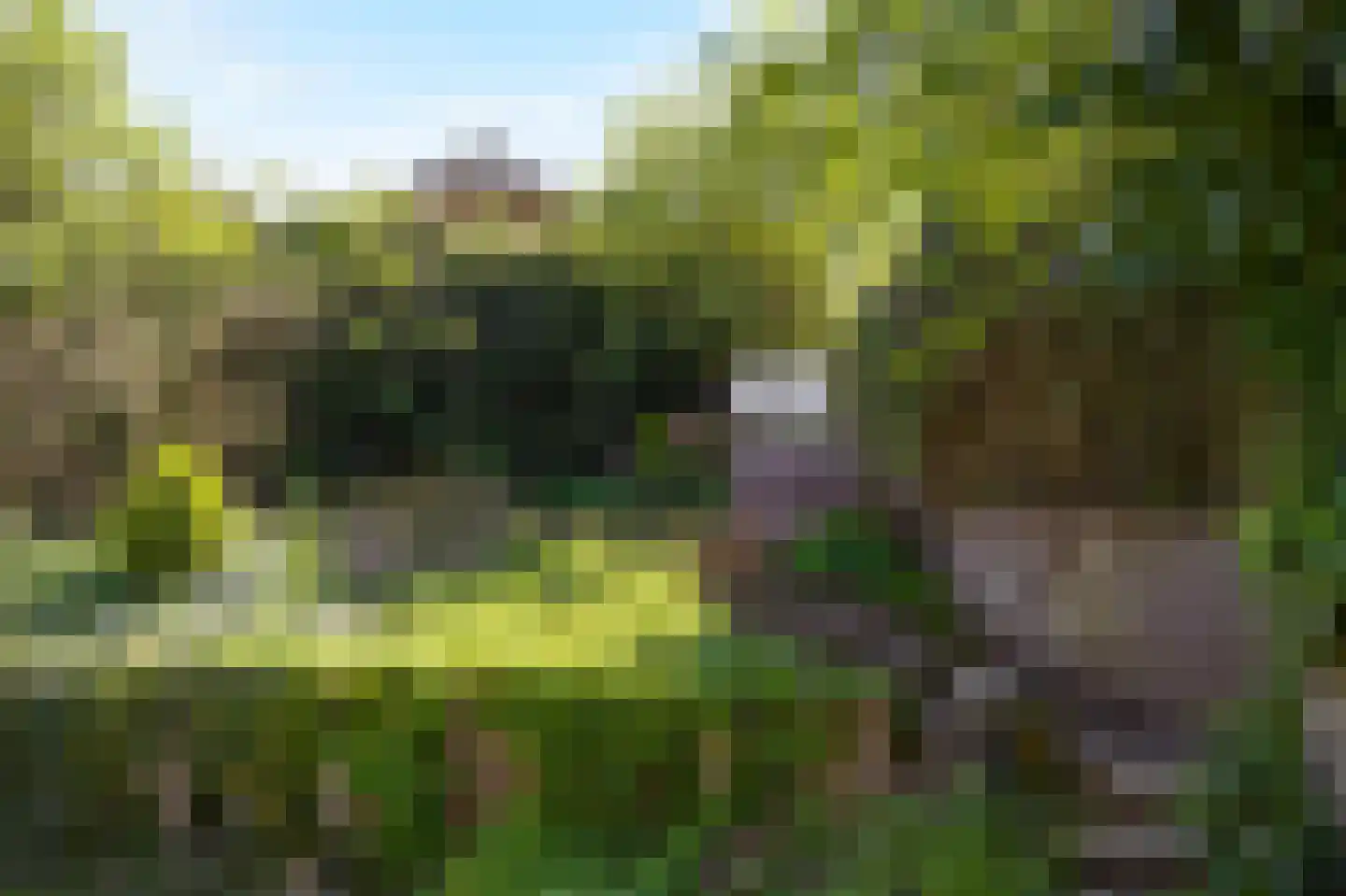 Korensingel 3 's-Heerenberg thumbnail 45