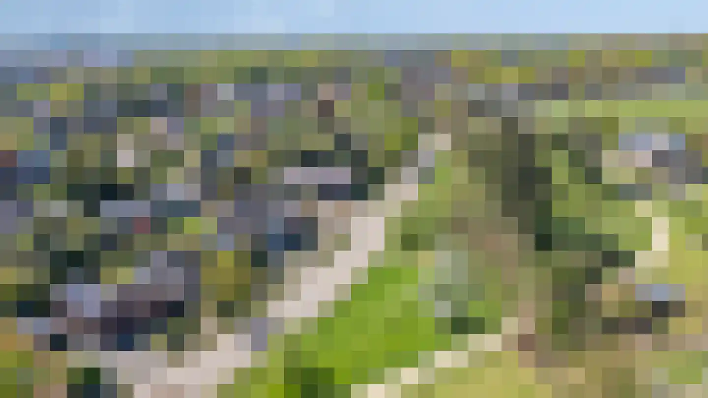 Korensingel 3 's-Heerenberg thumbnail 6