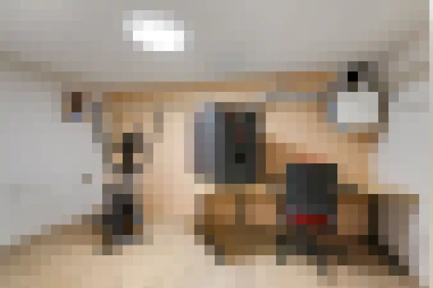 Korensingel 3 's-Heerenberg thumbnail 77