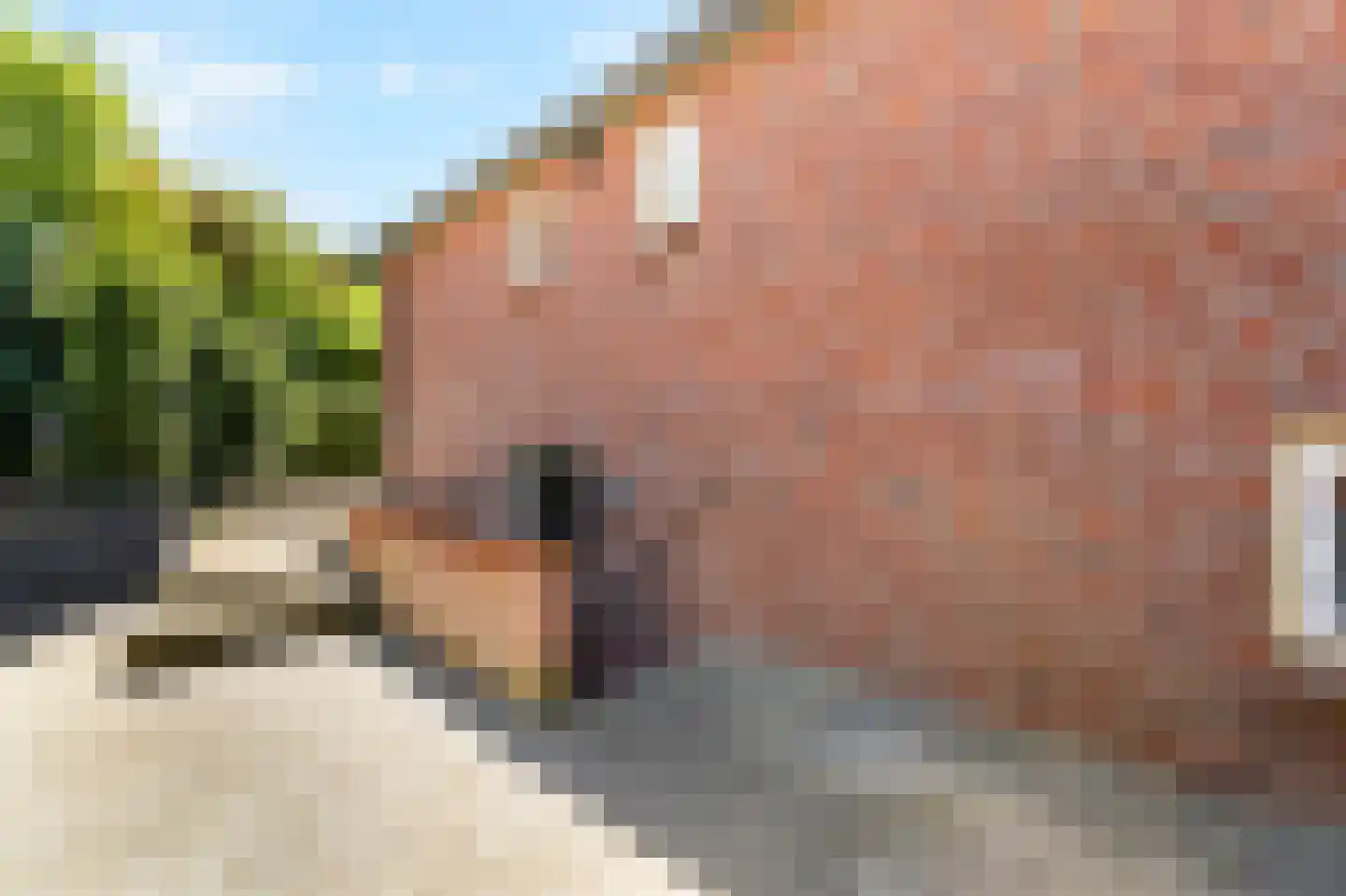 Korensingel 3 's-Heerenberg thumbnail 82