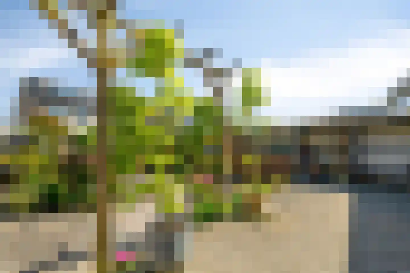 Korensloot 19 Zegveld thumbnail 34