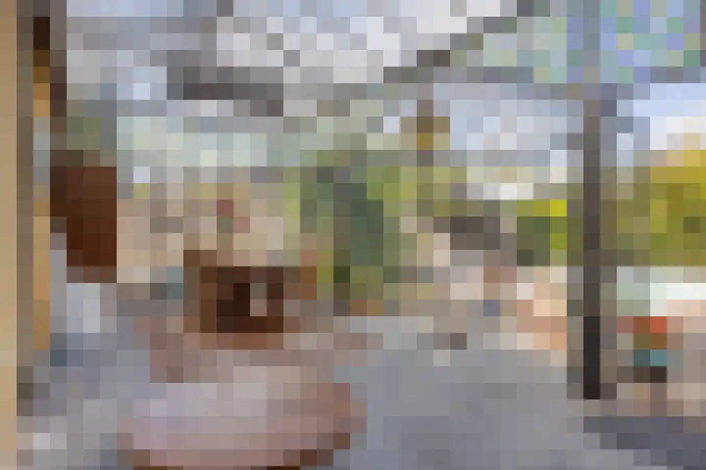 Korenstraat 10 Hedel thumbnail 21