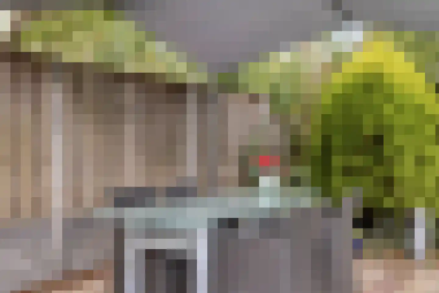 Korenstraat 10 Hedel thumbnail 39