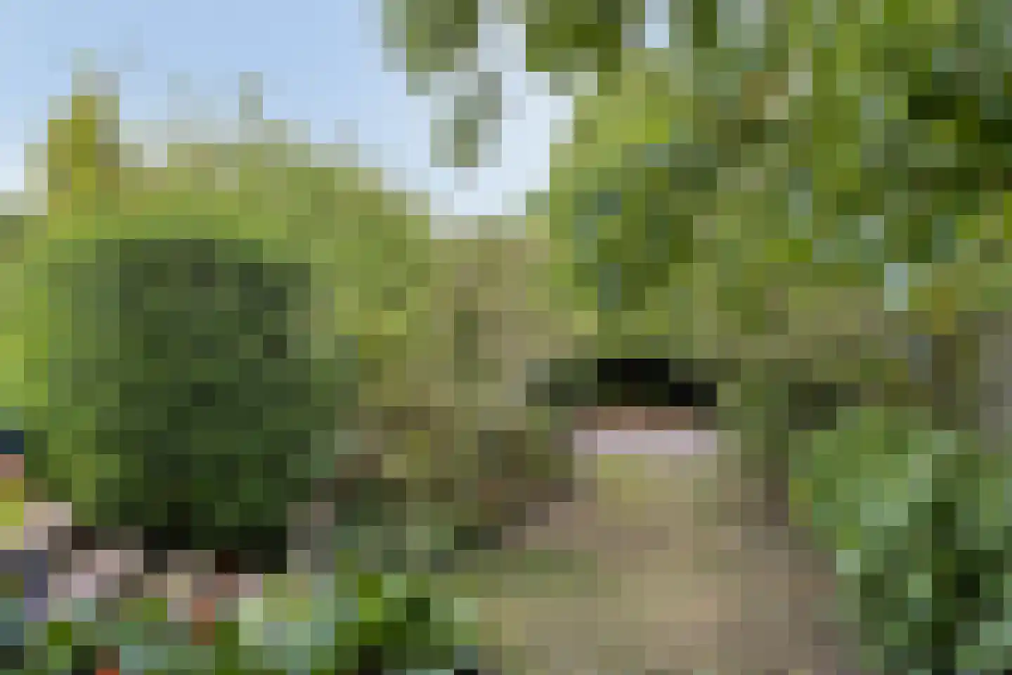 Korenstraat 10 Hedel thumbnail 41