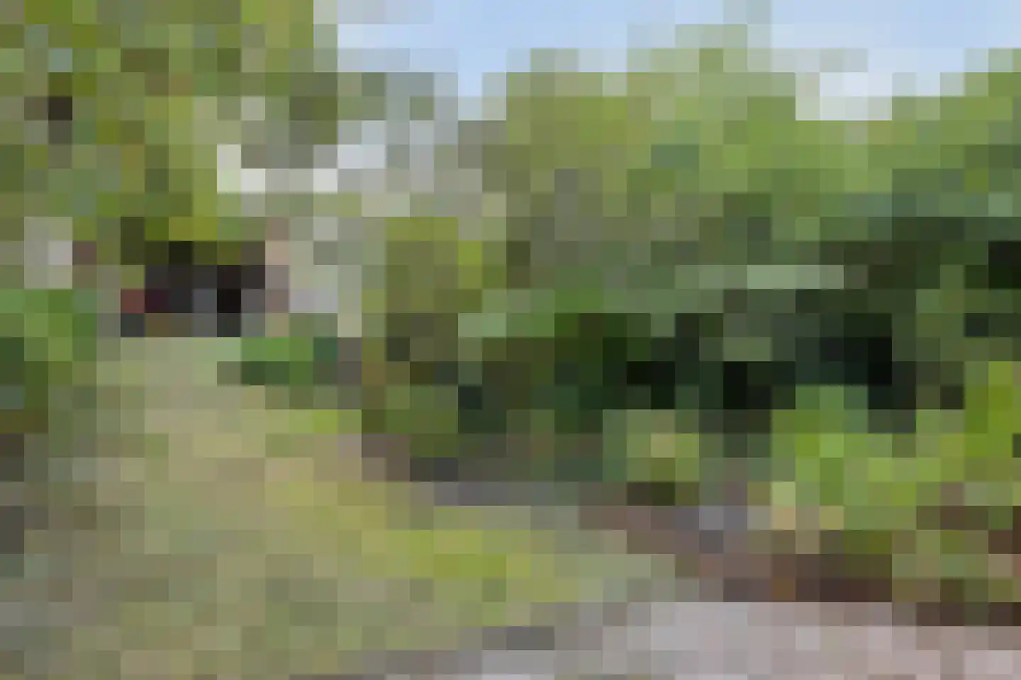 Korenstraat 10 Hedel thumbnail 42