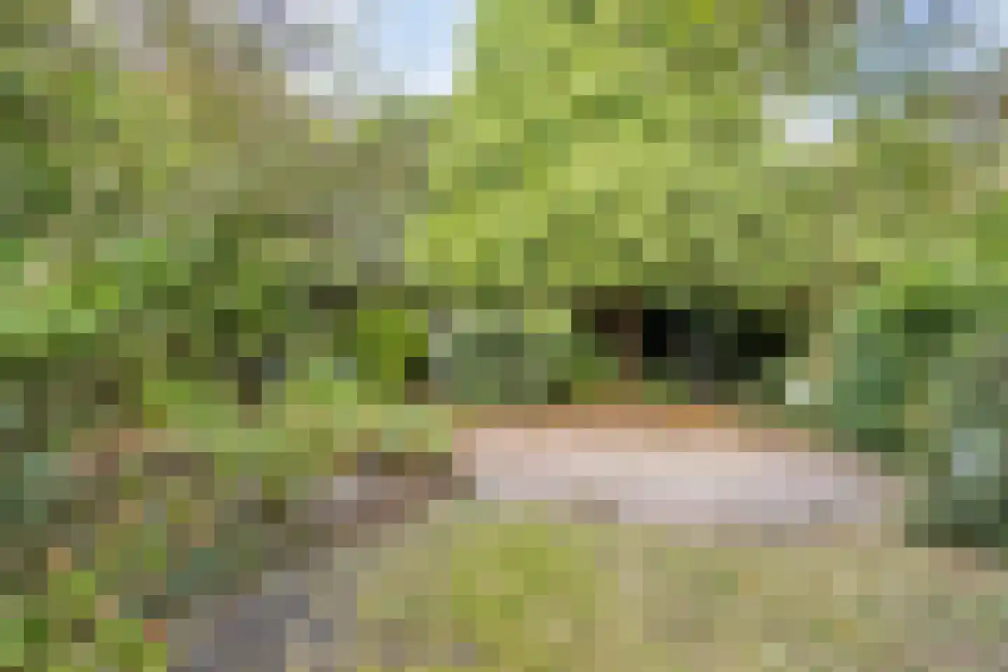 Korenstraat 10 Hedel thumbnail 43