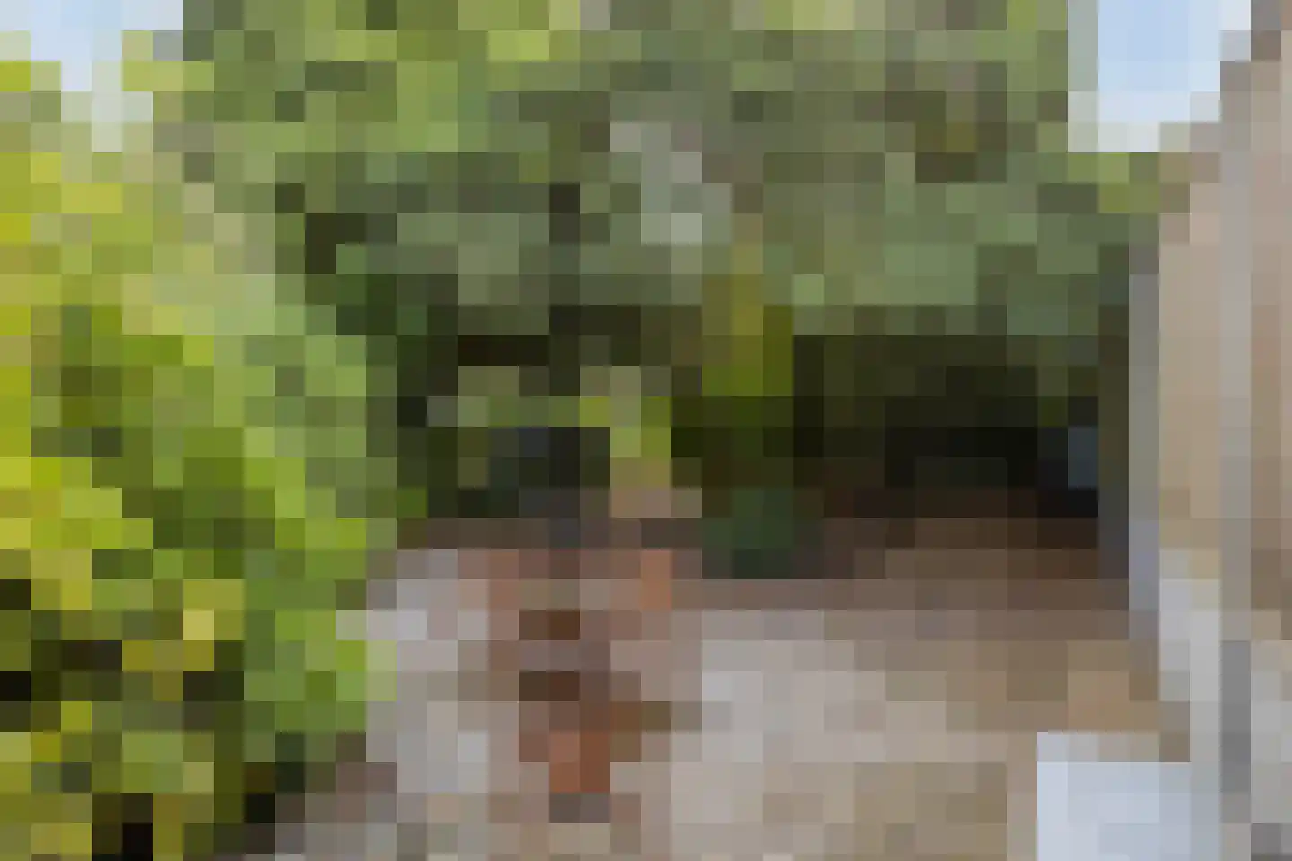 Korenstraat 10 Hedel thumbnail 44
