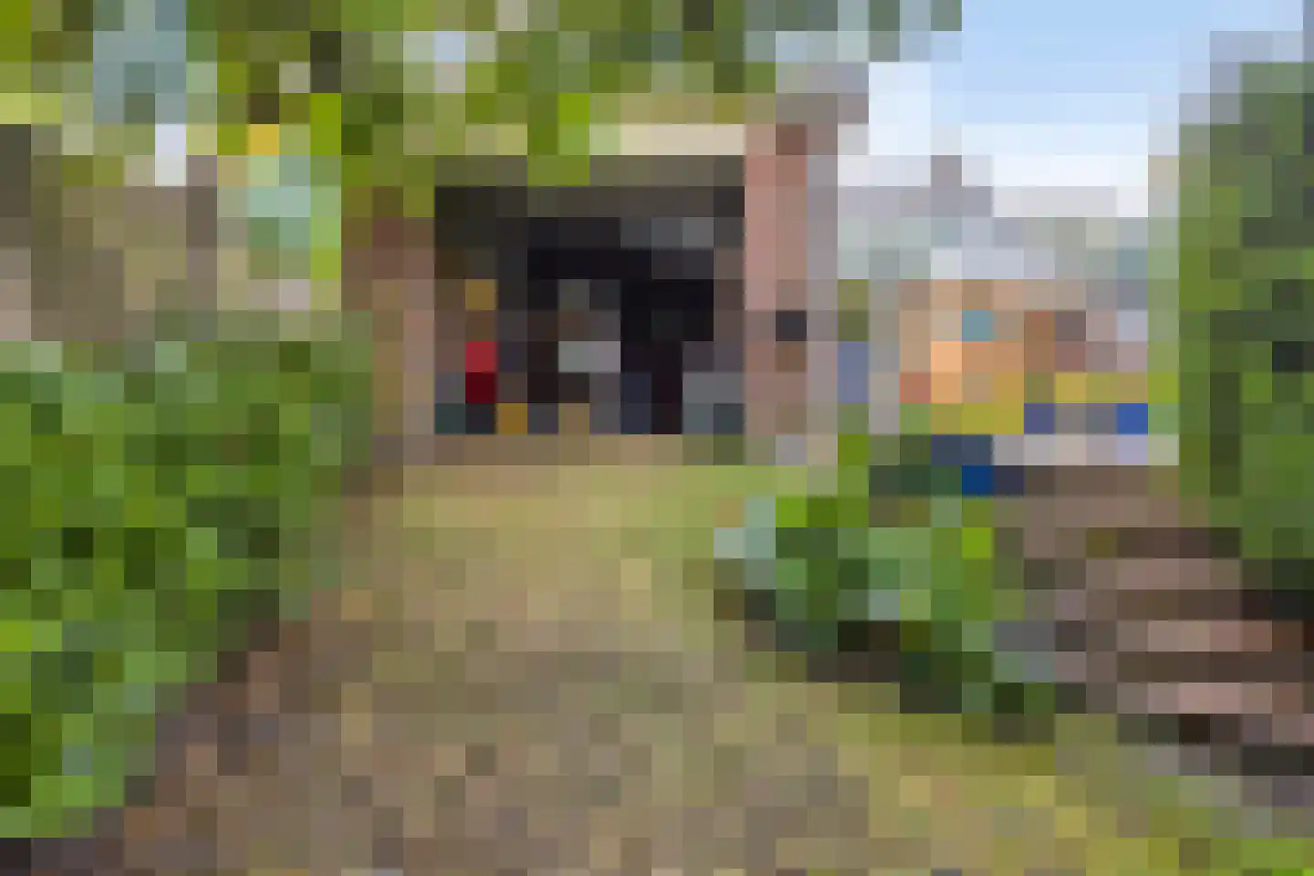 Korenstraat 10 Hedel thumbnail 45