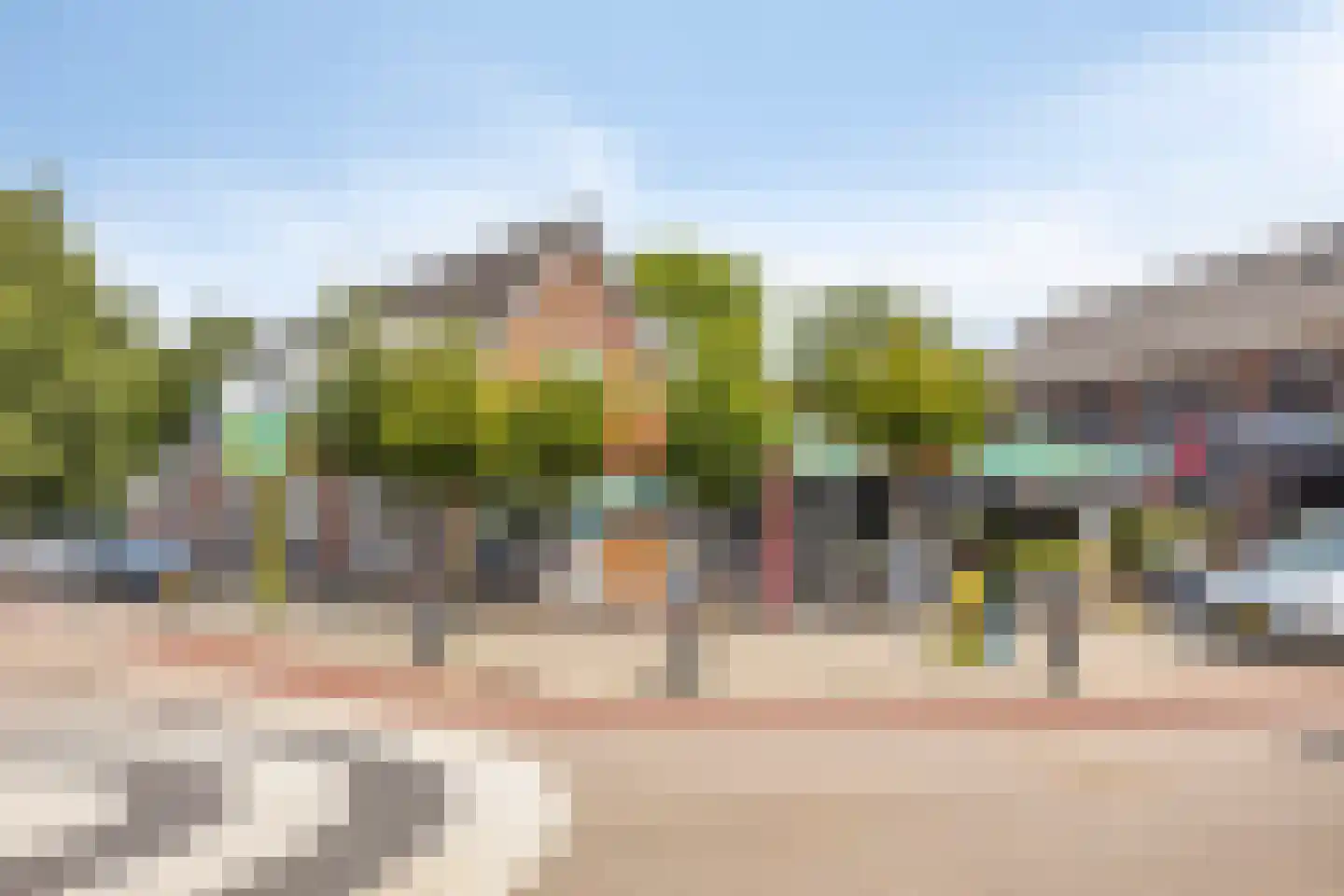 Korenstraat 10 Hedel thumbnail 48