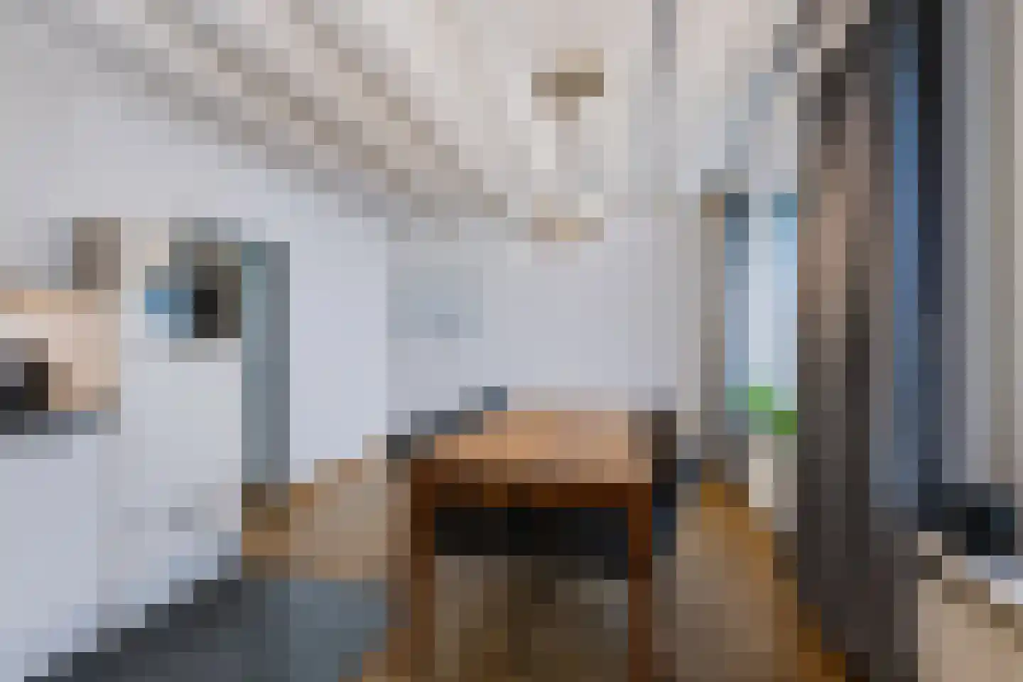Korenstraat 105 Hank thumbnail 15