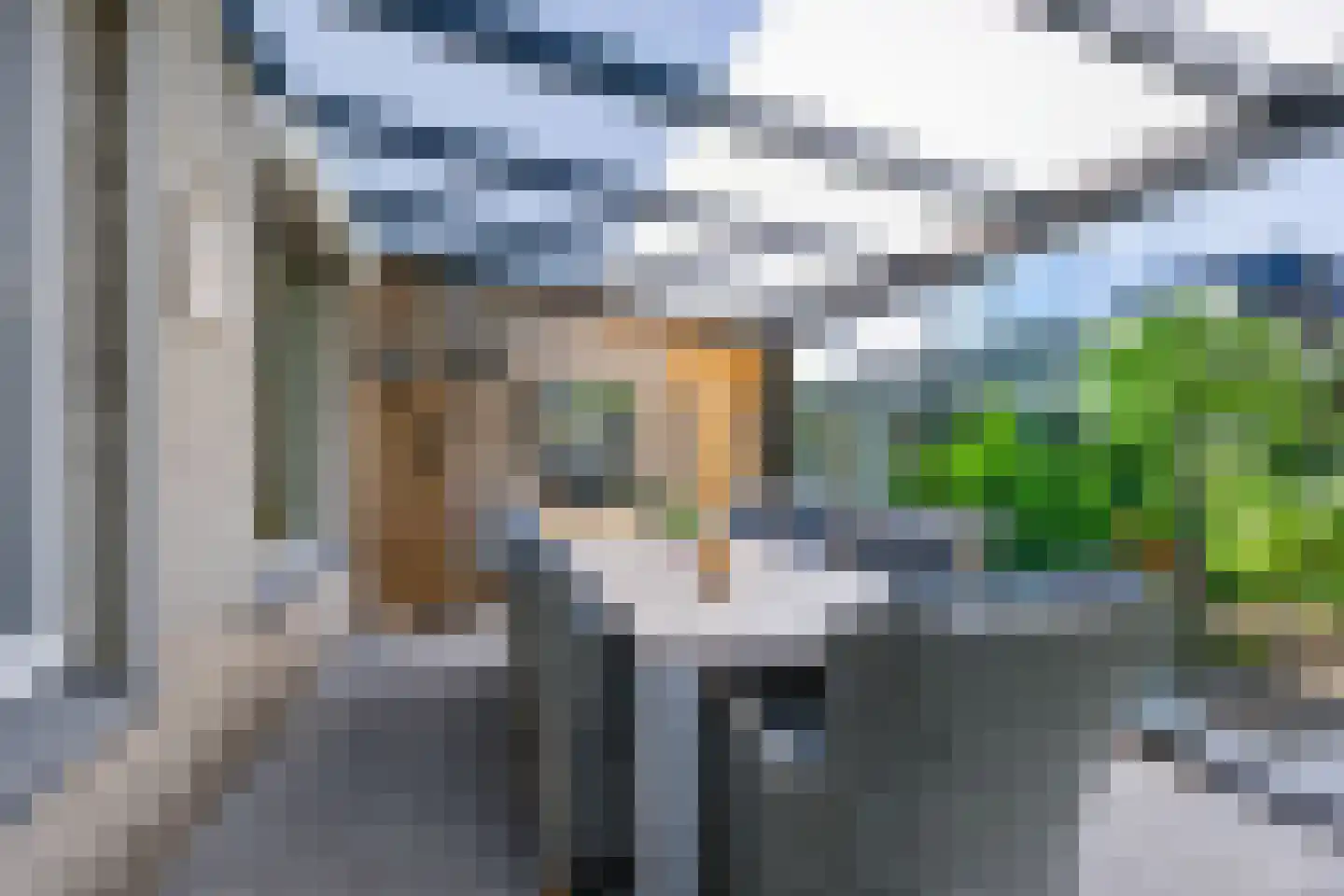 Korenstraat 105 Hank thumbnail 26