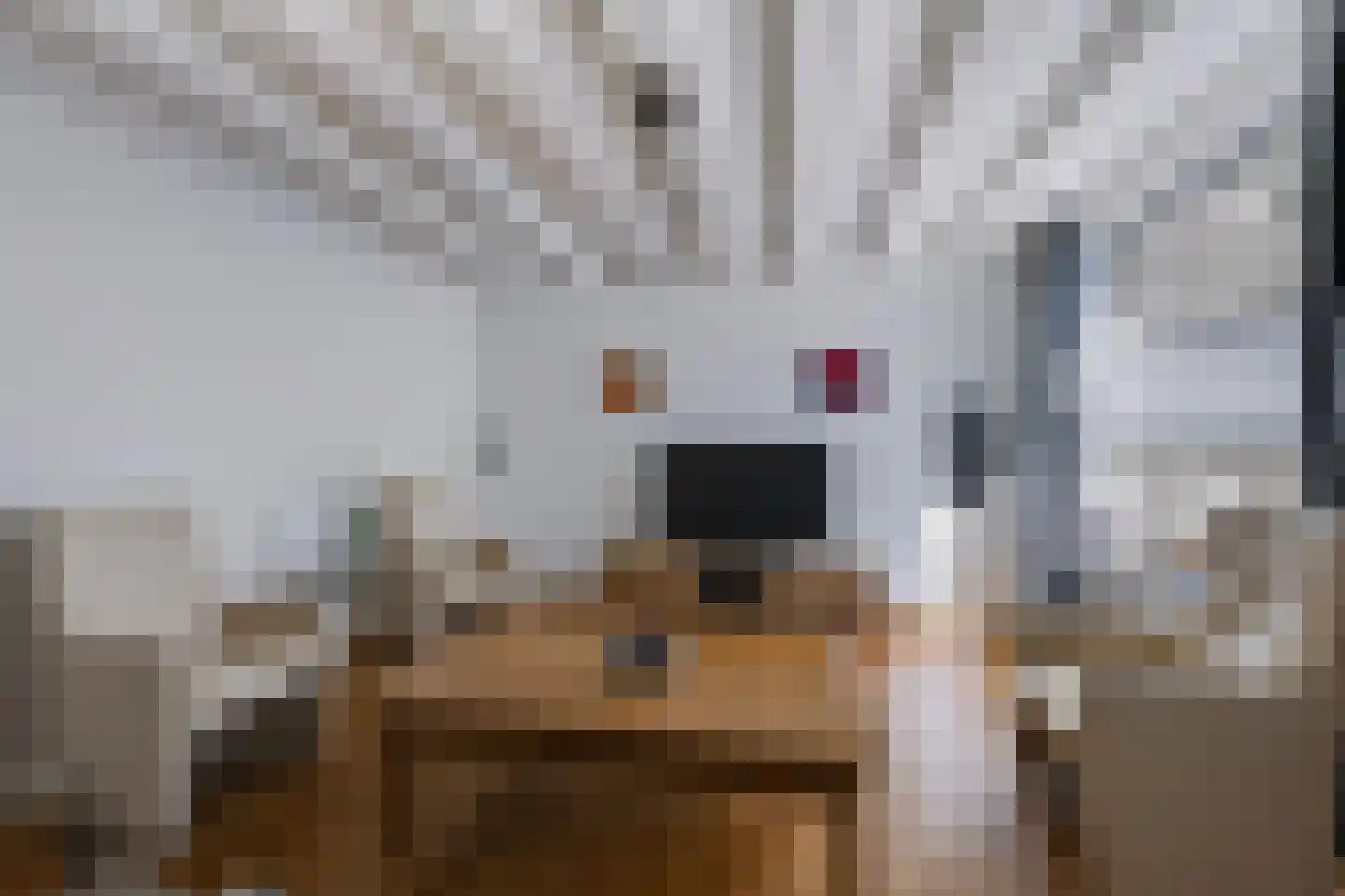 Korenstraat 105 Hank thumbnail 6