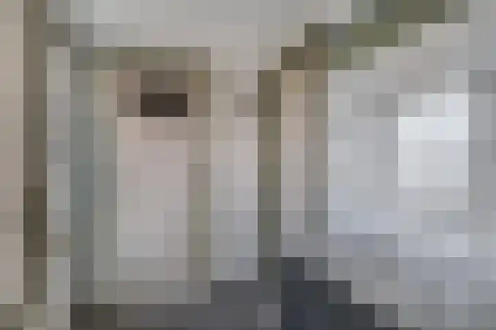 Korenstraat 11 Hedel thumbnail 13