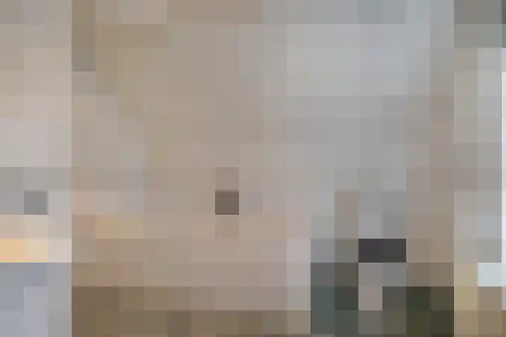 Korenstraat 11 Hedel thumbnail 16