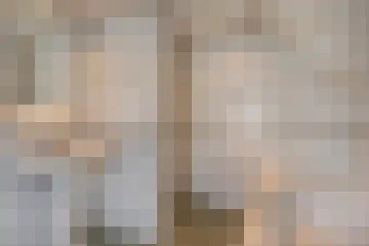 Korenstraat 11 Hedel thumbnail 17