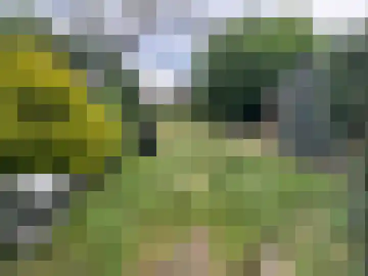 Korenstraat 11 Hedel thumbnail 27